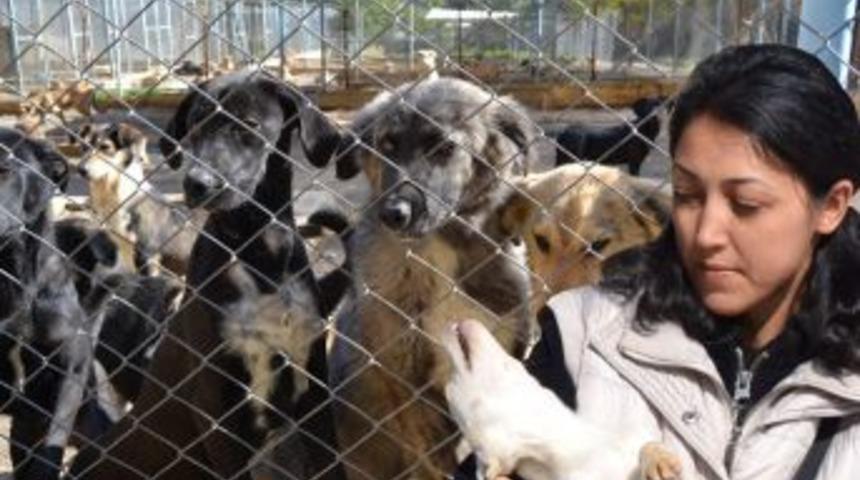 Sanki bir tatil köyü