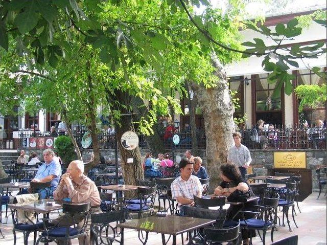 Mahfel Yeniden Hizmete Girecek 1