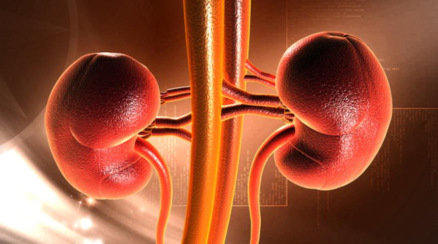 Vajinadan b&ouml;brek nakli iz bırakmıyor!