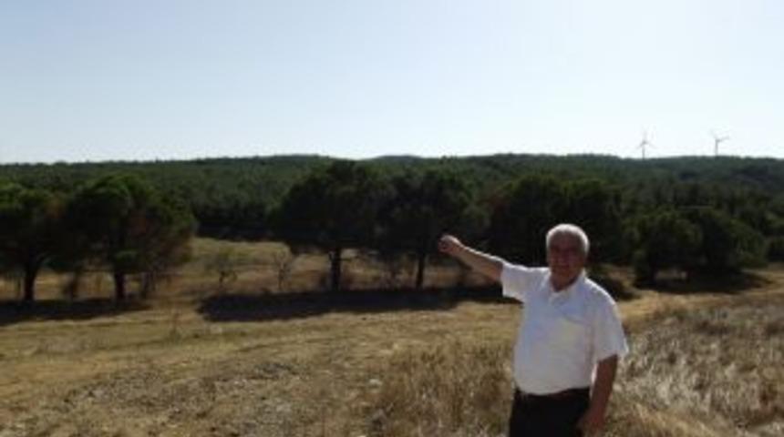 Şarköy’ün Rüzgarı Santralleri Çoğaltıyor