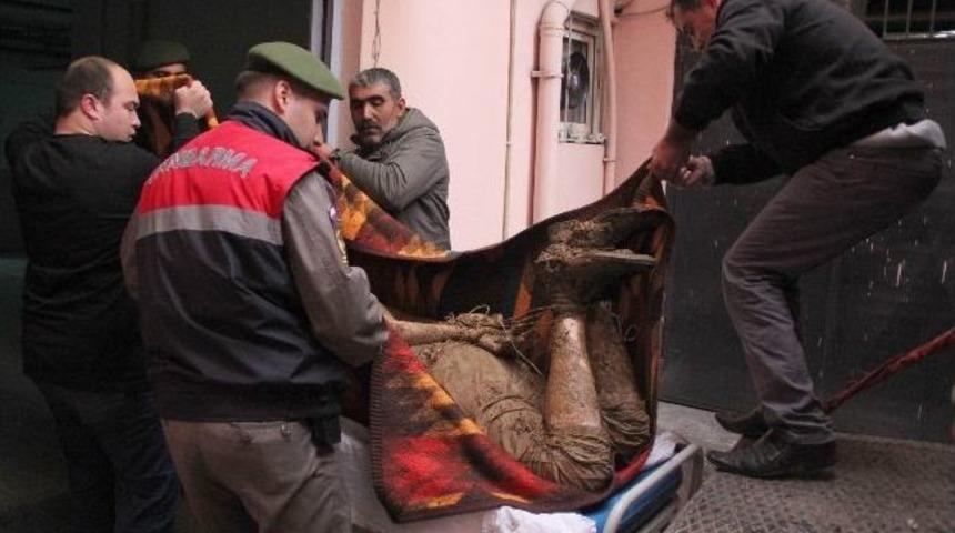 Nazilli&rsquo;de Vahşet