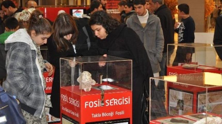 Fosil Sergisi B&uuml;y&uuml;k İlgi G&ouml;rd&uuml;