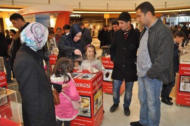Fosil Sergisi B&uuml;y&uuml;k İlgi G&ouml;rd&uuml; 2