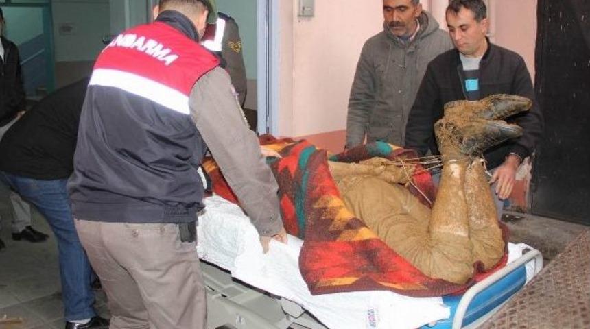 Domuzbağı Cinayetinde Kimlik Tespiti Yapıldı