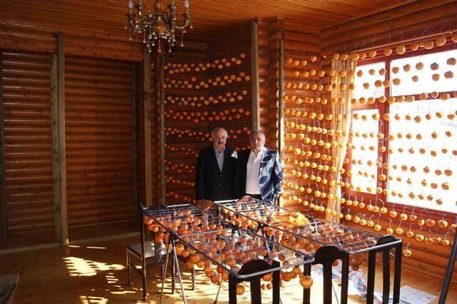 Hendek Hurma &Uuml;retimi İle Adını Duyuracak 1