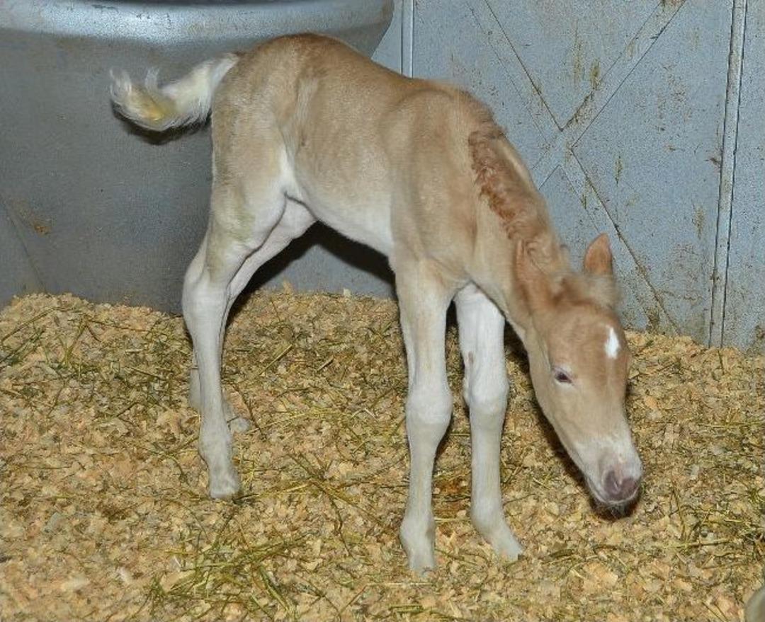 İki G&uuml;zel Haber!