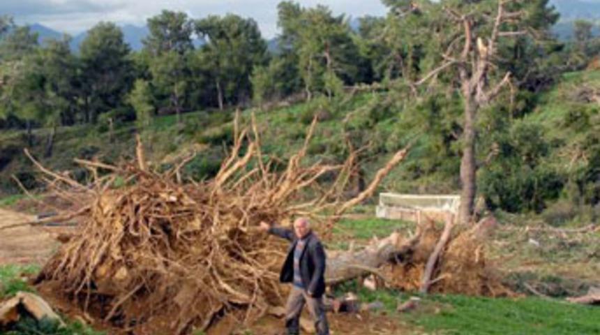 Serik'te hortum felaketi