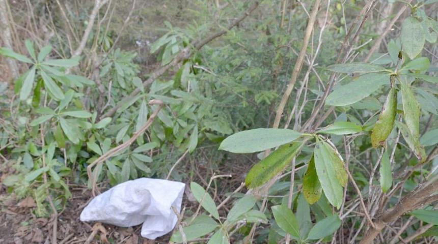 Dengesini Kaybeden Yaşlı Kadın U&ccedil;uruma Yuvarlandı