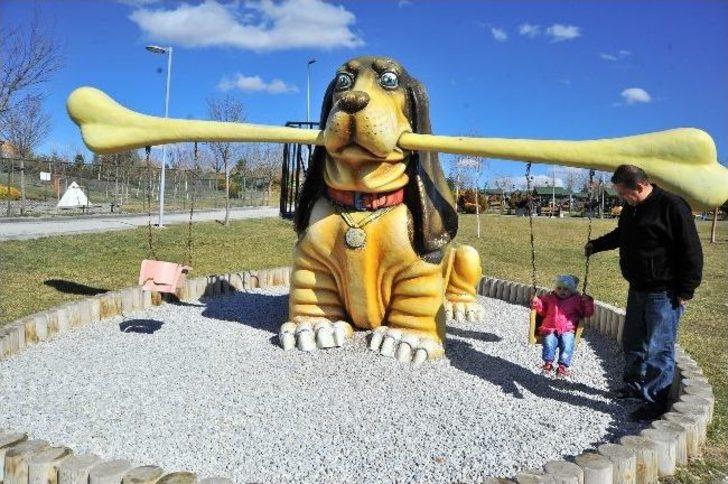 Başkentte Hafta Sonu Keyfi G3