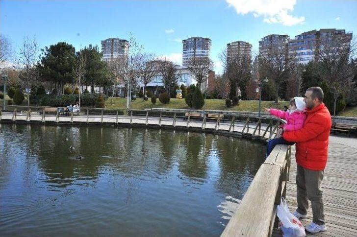 Başkentte Hafta Sonu Keyfi G1