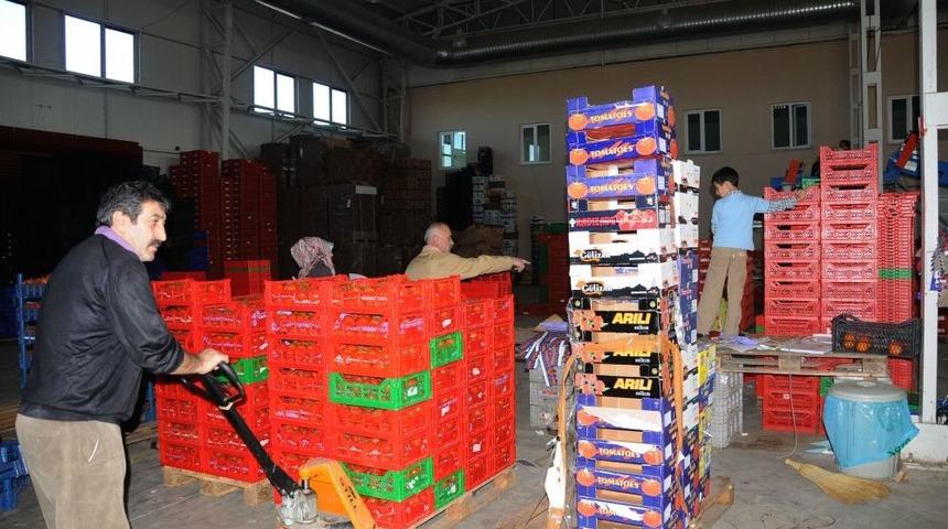 Samsun Gıda Kargo&rsquo;nun 5 Kıtada Ulaştığı &Uuml;lke Sayısı 200&rsquo;&uuml; Aştı