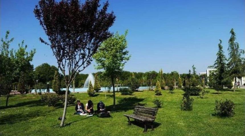 Sa&uuml; Y&uuml;kselişini S&uuml;rd&uuml;r&uuml;yor