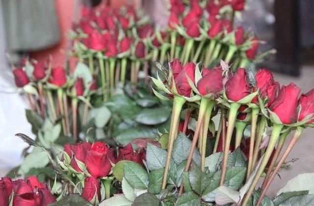 G&uuml;l, Sevgilinin Elini Yakacak 1