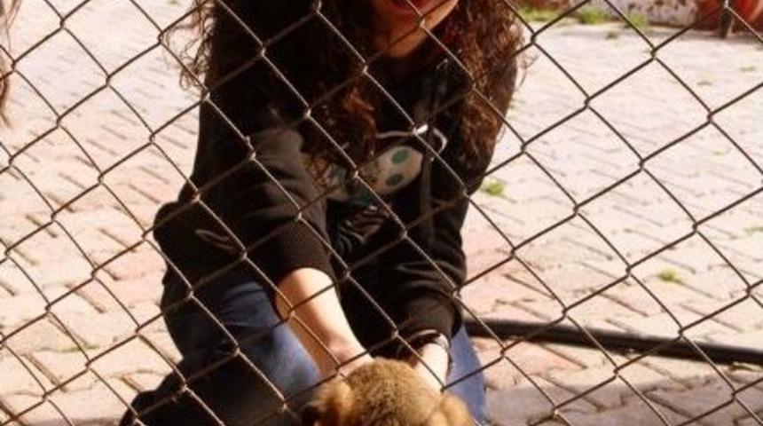 Mersin Barosundan Tarsus K&ouml;pek Bakım Ve Islah Evine Ziyaret