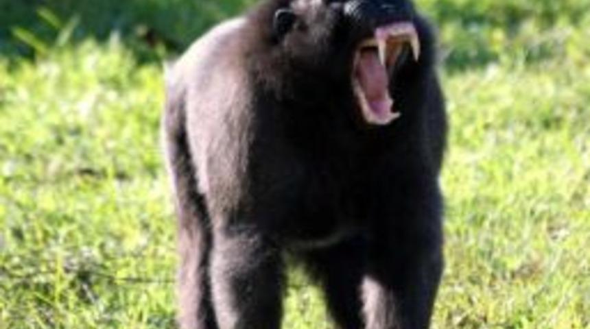 CITES Heyeti İzmir Doğal Yaşam Parkı'nı Beğendi