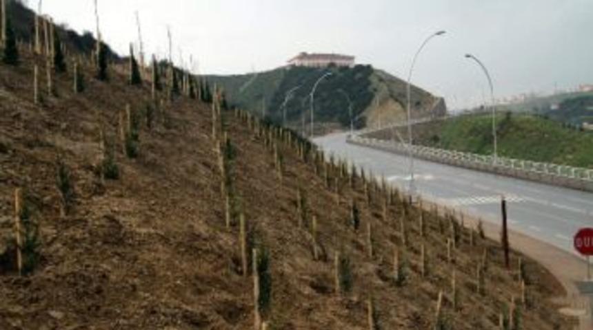 İzmitkent 1. Etap &Ouml;n&uuml; Ağa&ccedil;landırıldı