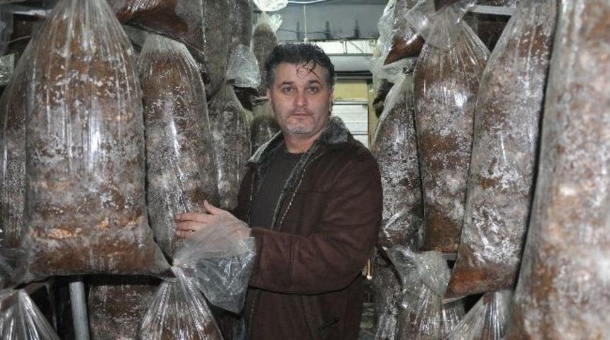 Kırkağa&ccedil;lı 12 Aileye Mantar Kompostları Teslim Edildi