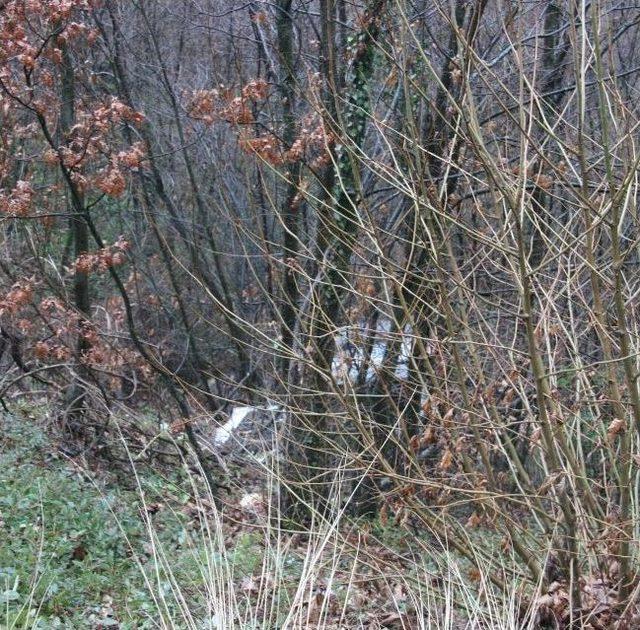 Hastaneye Giderken Uçuruma Uçtular