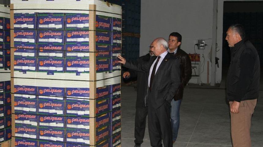 Milletvekili Ali K&uuml;&ccedil;&uuml;kaydın: Narenciye Altın &Ccedil;ağını Yaşıyor