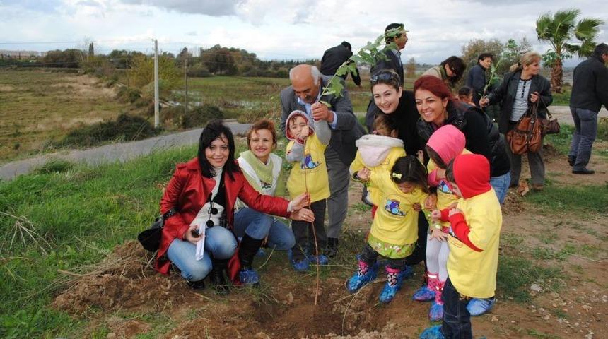 TEMA: 14 Şubat'ta Sevgilerin K&ouml;k Salması I&ccedil;in Bir Fidan Dikelim