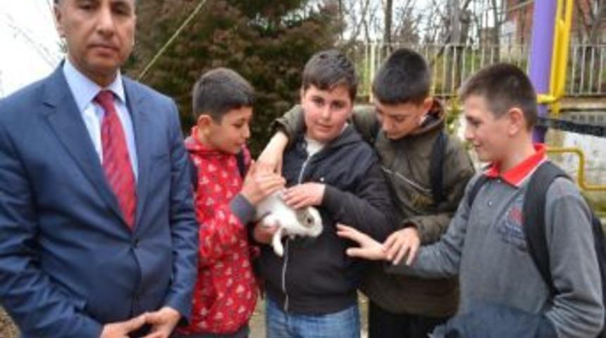 Sahibi Bulunamayan Yavru Tavşanı &Ouml;ğrenciler Sahiplendi