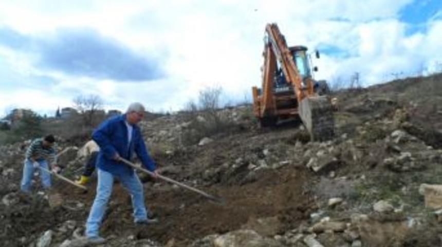 Taşlık arazi cevizlik olacak