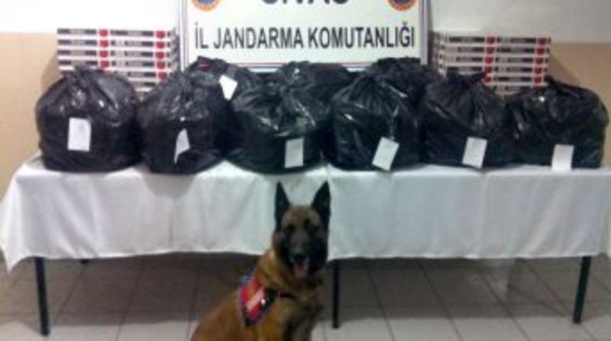 Sivas&rsquo;ta Esrar Ve Ka&ccedil;ak Sigara Operasyonu