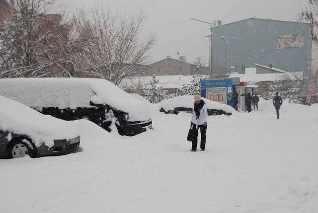 Muş’ta Kar Yağışı 2