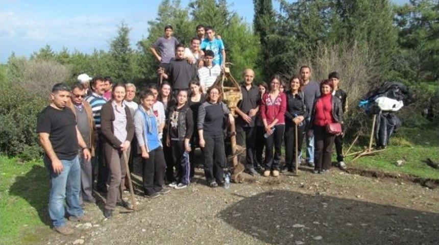 Dat&ccedil;a &lsquo;bal Ormanı&rsquo; Tamamlandı