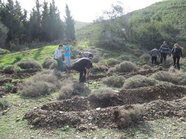 Datça ‘bal Ormanı’ Tamamlandı