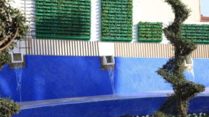 G&uuml;ng&ouml;ren Belediyesi, Il&ccedil;ede 'dikey Yeşillendirme' Projesi Uygulamaya Başladı