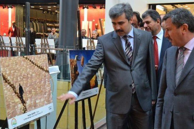 ‘tarım Ve İnsan’ Konulu Sergi Kayseri Forum’da Açıldı