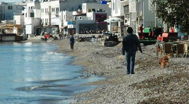 Bodrum&rsquo;da Kış G&uuml;neşi Isıttı 2