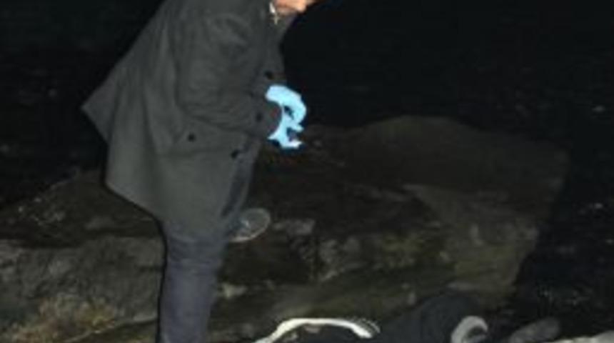 Sahildeki Kayalıklar &Uuml;zerinde Ceset Bulundu