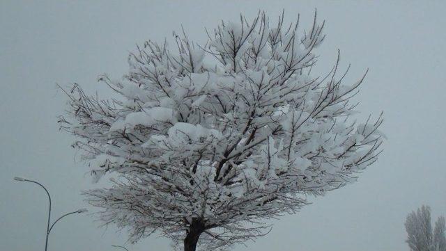 Vang&ouml;l&uuml; Sahilleri Karla Daha Bir G&uuml;zel 1