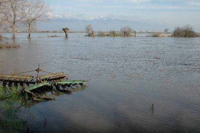 Koçarlı Ovası’nda Korkulan Oldu