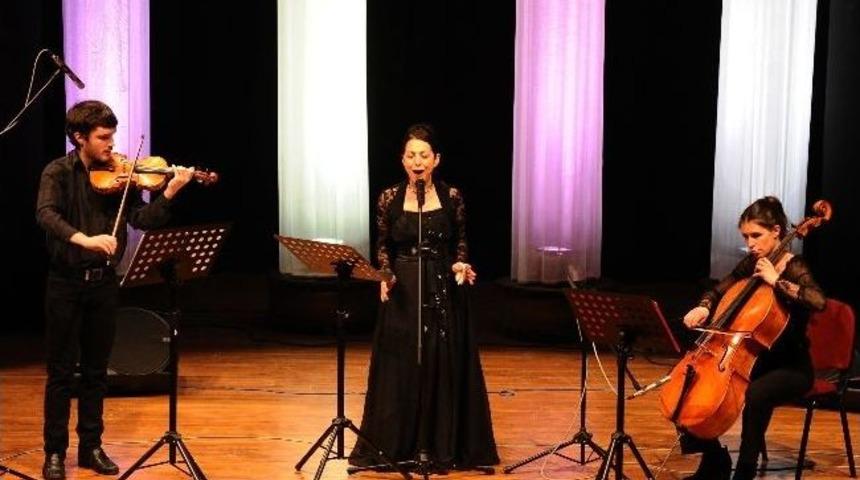 T&uuml;rk&uuml;lere Farklı Yorum