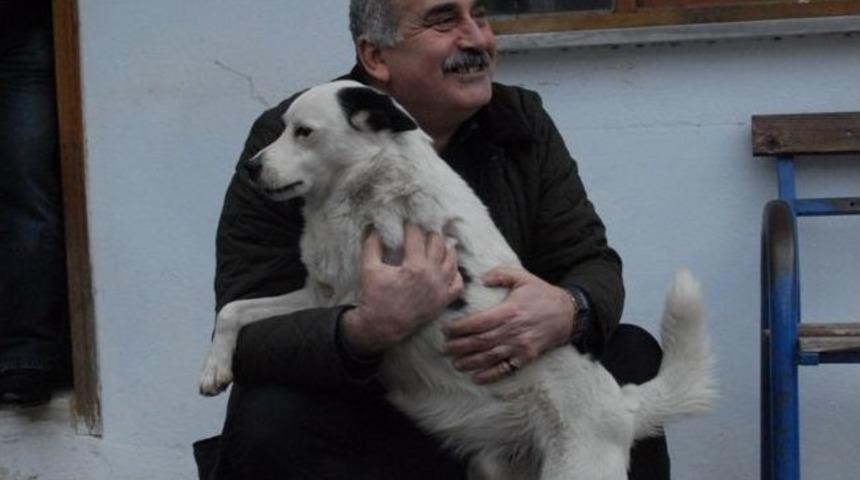 Artvin&rsquo;de 3 Ayaklı K&ouml;peğini Sevgisiyle Y&uuml;r&uuml;t&uuml;yor