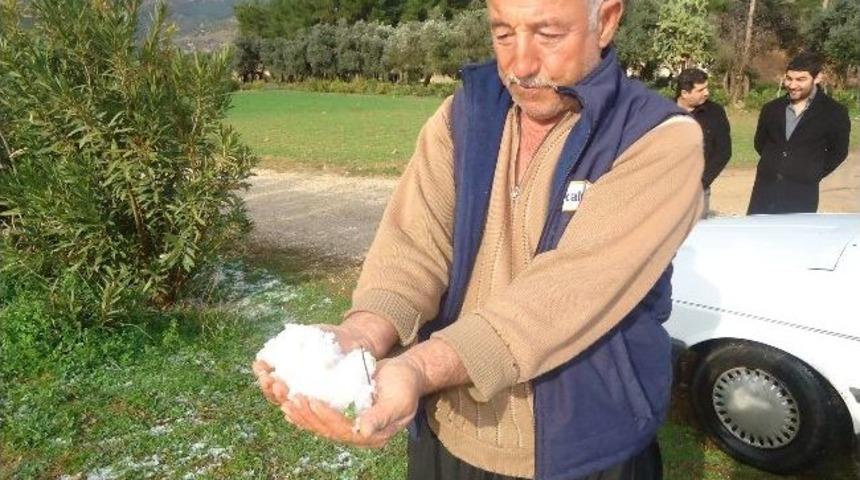 Kozan&rsquo;da Dolu Yağışı Ekili Alanlarda Etkili Oldu