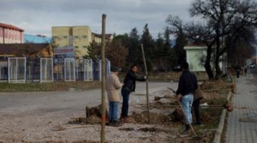 Gediz Belediyesi'nin Ağa&ccedil;landırma &Ccedil;alışmalarına Bakanlıktan Fidan Desteği