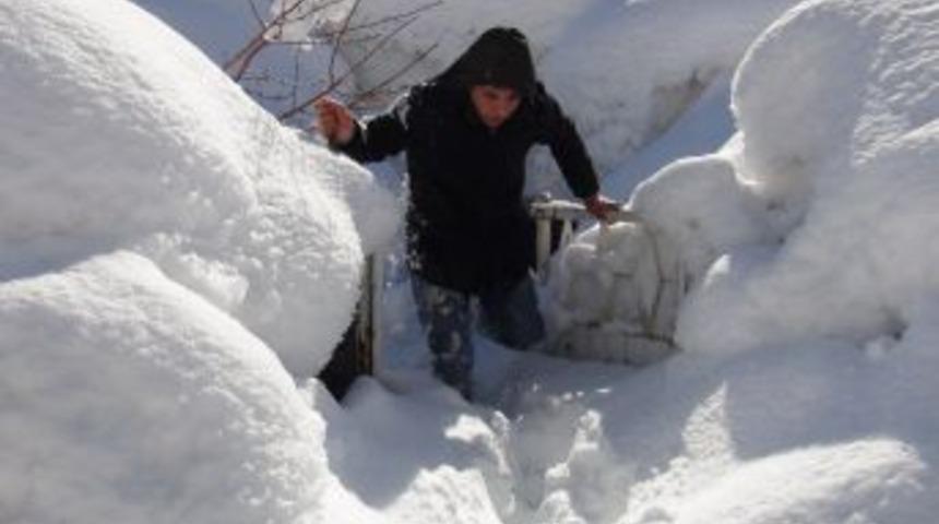 Bitlis Adeta Kara G&ouml;m&uuml;ld&uuml;