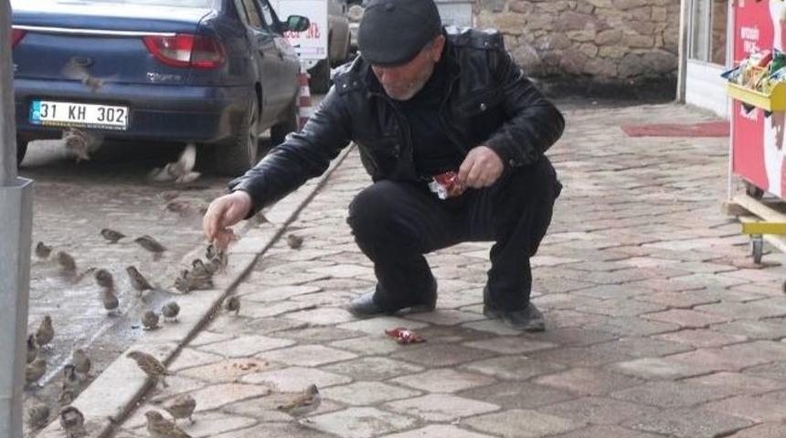 Narman&rsquo;da A&ccedil; Kalan Ser&ccedil;eleri Top Kekle Besliyor