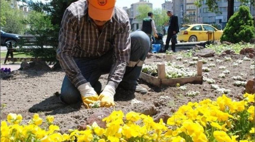 Melikgazi Belediyesi&rsquo;nden Fidan, S&uuml;s Bitkisi, &Ccedil;i&ccedil;ek Ve &Ccedil;im Tohumu Alımı