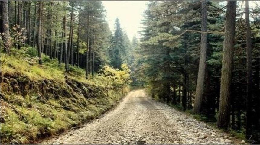 Bursa&rsquo;da 14 Bin Hektar 2b Alanı Var