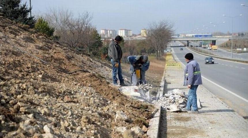 Tepebaşı Bahara Hazırlanıyor