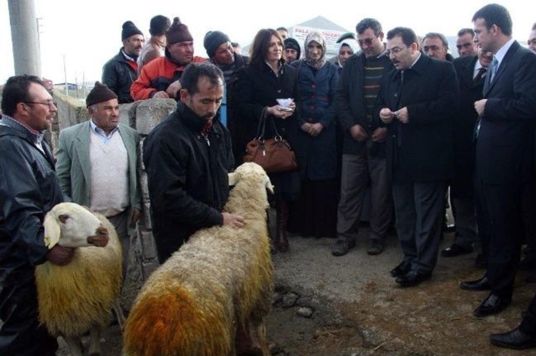 Vali Altınok Ortak&ouml;y İl&ccedil;esinde İncelemelerde Bulundu