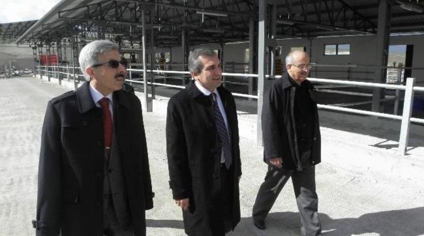 Yozgat Valisi Yazıcı Tkdk Yatırımlarını Yerinde İnceledi