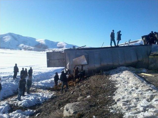 Tatvan'da Trafik Kazası: 4 İnek Telef Oldu