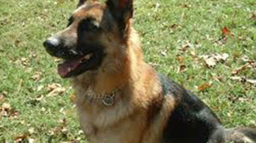 Cesedi eski polis k&ouml;peği buldu