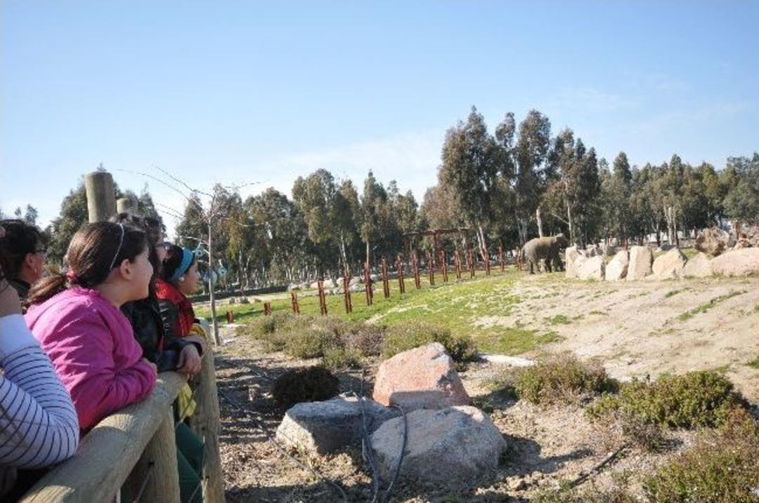&Ccedil;ocuk G&ouml;z&uuml;yle Doğal Yaşam